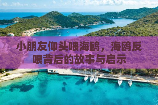 小朋友仰头喂海鸥，海鸥反喂背后的故事与启示