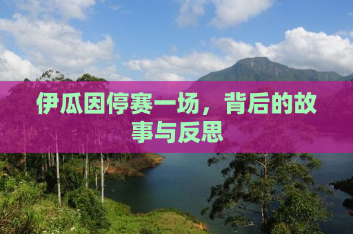 伊瓜因停赛一场，背后的故事与反思
