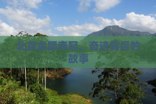 北京金隅夺冠，奇迹背后的故事