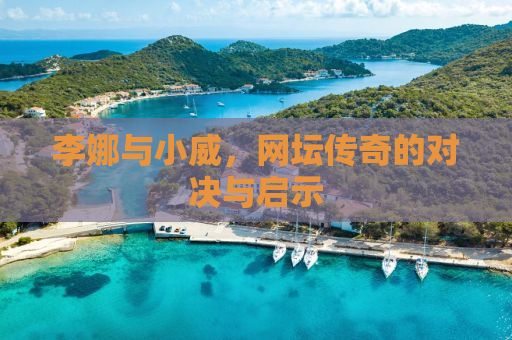 李娜与小威，网坛传奇的对决与启示