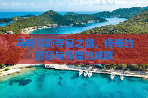 马特乌斯夺冠之路，传奇的历程与辉煌的成就