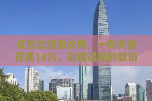 试管之路的坎坷，一对夫妻花费18万，却遭遇输卵管切除的无奈经历