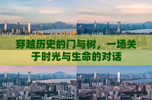穿越历史的门与树，一场关于时光与生命的对话