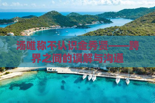 汤唯称不认识金秀贤——跨界之间的误解与沟通