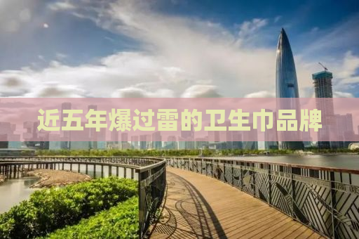 近五年爆过雷的卫生巾品牌