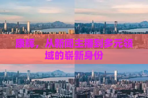 康辉，从新闻主播到多元领域的崭新身份