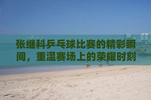 张继科乒乓球比赛的精彩瞬间，重温赛场上的荣耀时刻