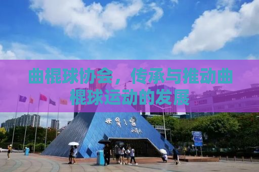 曲棍球协会，传承与推动曲棍球运动的发展