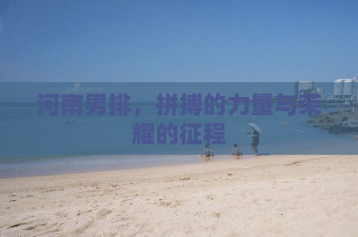 河南男排，拼搏的力量与荣耀的征程