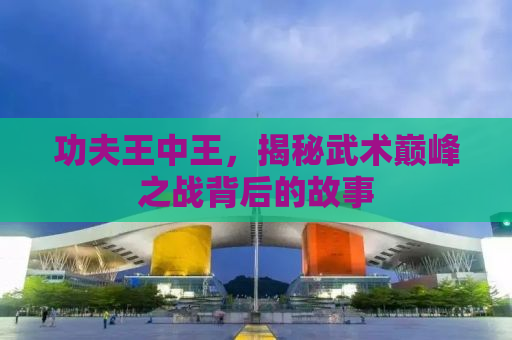 功夫王中王，揭秘武术巅峰之战背后的故事