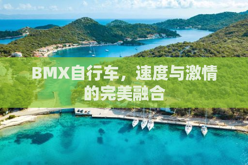 BMX自行车，速度与激情的完美融合