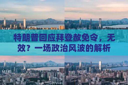 特朗普回应拜登赦免令，无效？一场政治风波的解析
