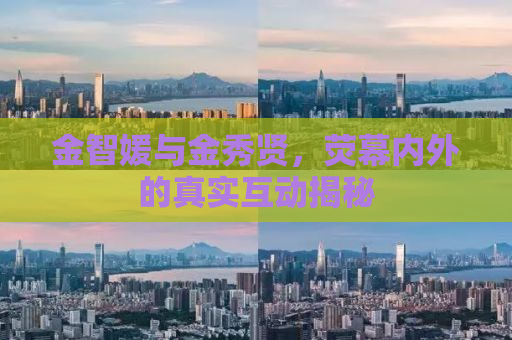 金智媛与金秀贤，荧幕内外的真实互动揭秘