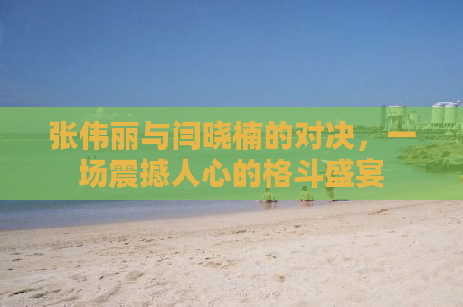 张伟丽与闫晓楠的对决，一场震撼人心的格斗盛宴
