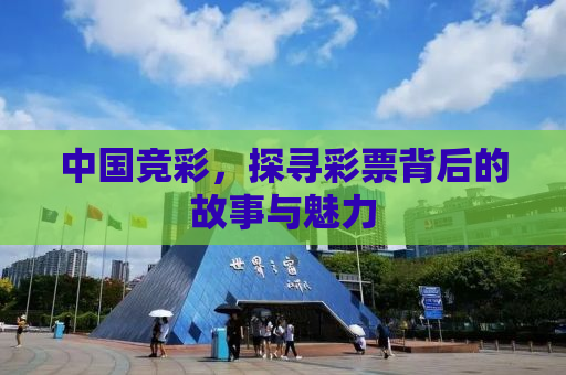 中国竞彩，探寻彩票背后的故事与魅力