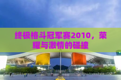 终极格斗冠军赛2010，荣耀与激情的碰撞
