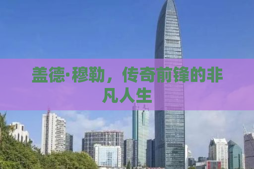 盖德·穆勒，传奇前锋的非凡人生