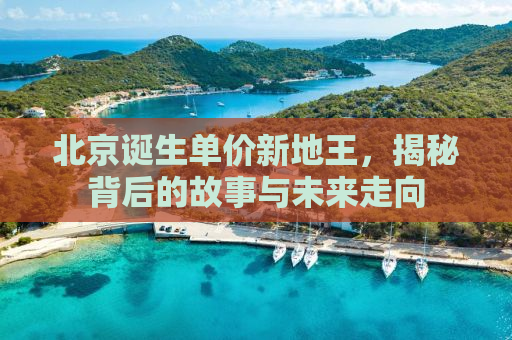 北京诞生单价新地王，揭秘背后的故事与未来走向