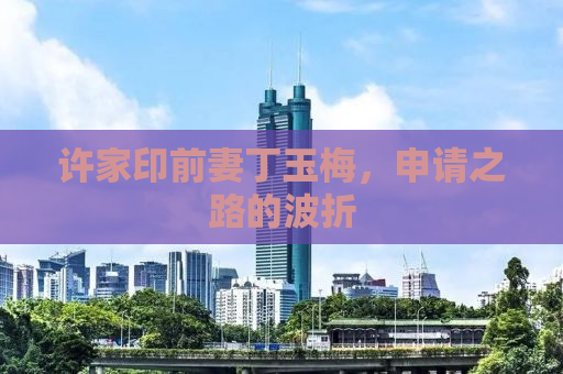 许家印前妻丁玉梅，申请之路的波折