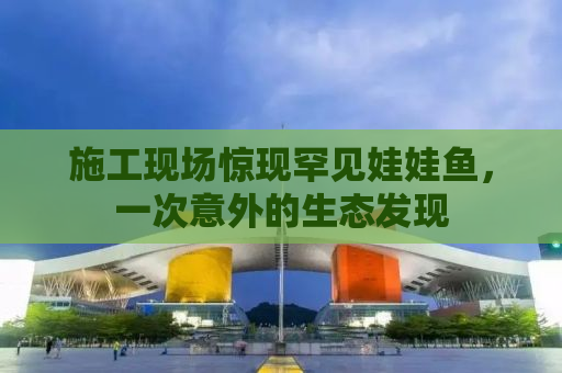 施工现场惊现罕见娃娃鱼，一次意外的生态发现
