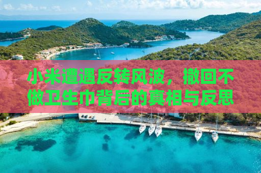 小米遭遇反转风波，撤回不做卫生巾背后的真相与反思