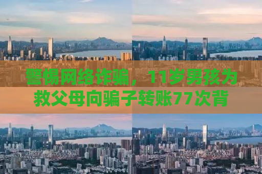 警惕网络诈骗，11岁男孩为救父母向骗子转账77次背后的故事与反思