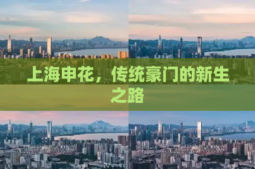上海申花，传统豪门的新生之路