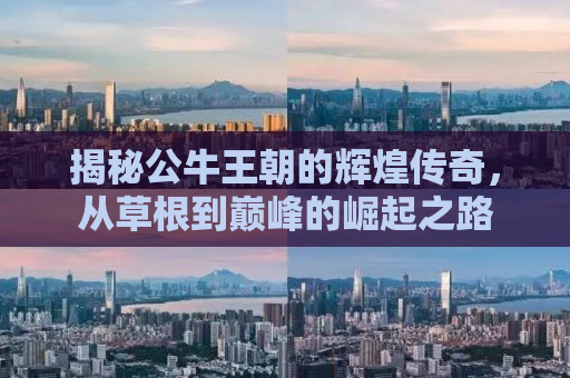 揭秘公牛王朝的辉煌传奇，从草根到巅峰的崛起之路