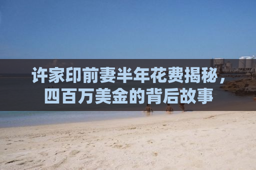 许家印前妻半年花费揭秘，四百万美金的背后故事