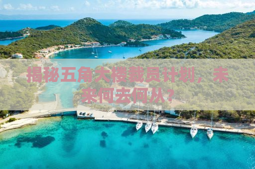 揭秘五角大楼裁员计划，未来何去何从？