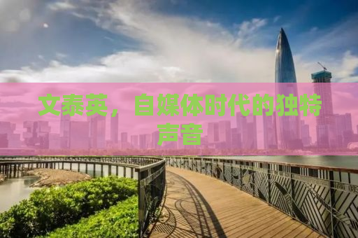 文泰英，自媒体时代的独特声音