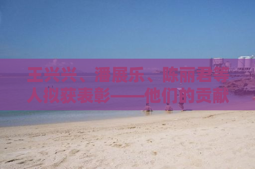王兴兴、潘展乐、陈丽君等人拟获表彰——他们的贡献与影响力