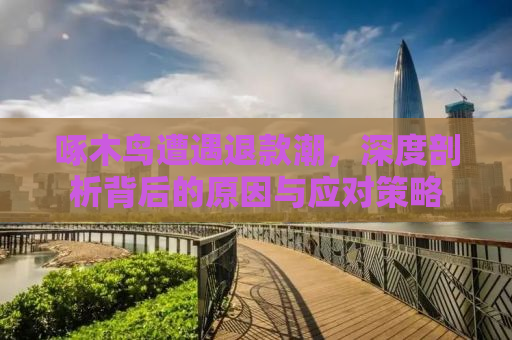 啄木鸟遭遇退款潮，深度剖析背后的原因与应对策略