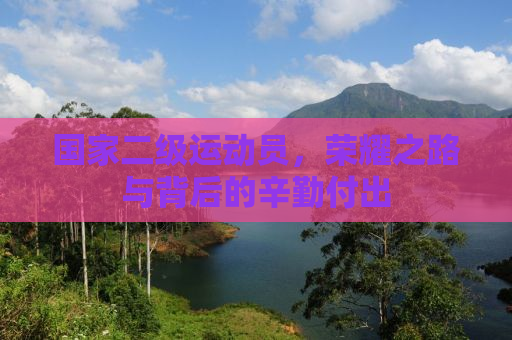 国家二级运动员，荣耀之路与背后的辛勤付出