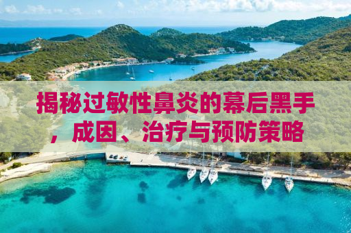 揭秘过敏性鼻炎的幕后黑手，成因、治疗与预防策略