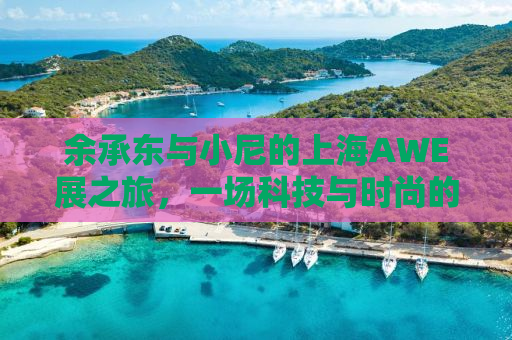 余承东与小尼的上海AWE展之旅，一场科技与时尚的完美交融