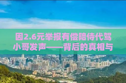 因2.6元举报有偿陪侍代驾小哥发声——背后的真相与反思