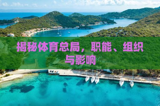 揭秘体育总局，职能、组织与影响