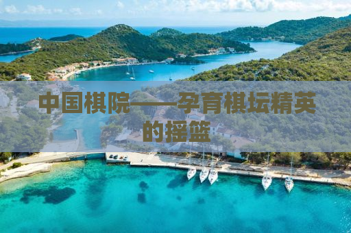 中国棋院——孕育棋坛精英的摇篮