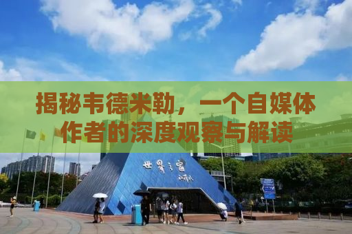 揭秘韦德米勒，一个自媒体作者的深度观察与解读