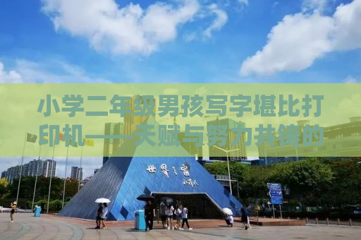 小学二年级男孩写字堪比打印机——天赋与努力共铸的辉煌