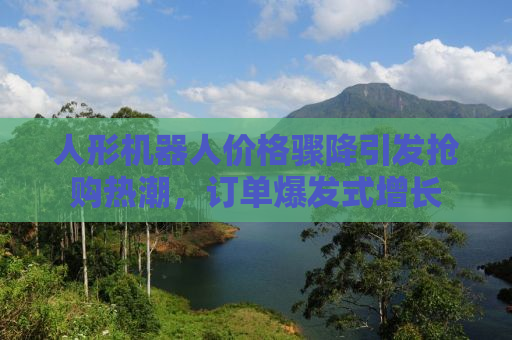 人形机器人价格骤降引发抢购热潮，订单爆发式增长