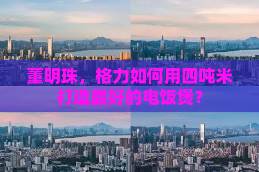 董明珠，格力如何用四吨米打造最好的电饭煲？
