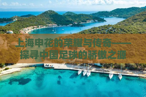 上海申花的荣耀与传奇——探寻中国足球的骄傲之源