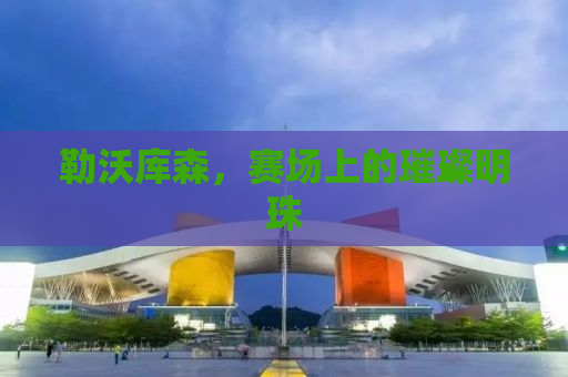 勒沃库森，赛场上的璀璨明珠