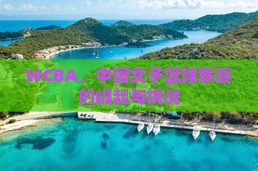 WCBA，中国女子篮球联赛的崛起与挑战