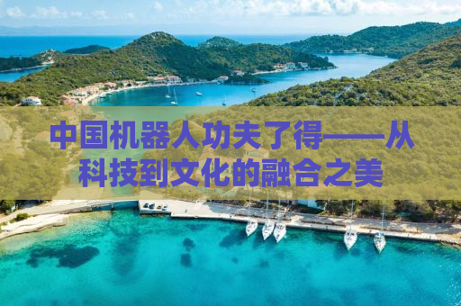 中国机器人功夫了得——从科技到文化的融合之美