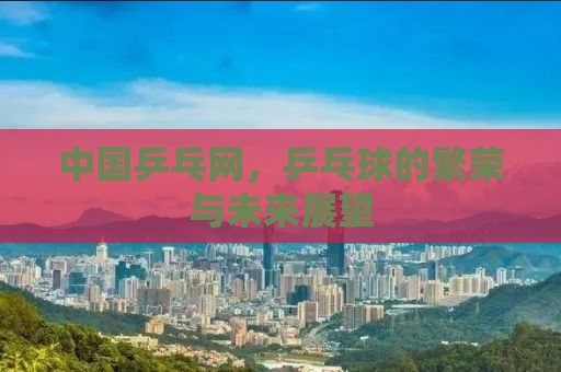 中国乒乓网，乒乓球的繁荣与未来展望