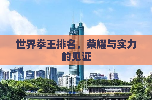 世界拳王排名，荣耀与实力的见证