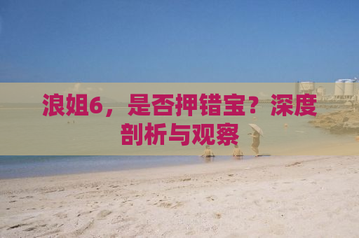 浪姐6，是否押错宝？深度剖析与观察